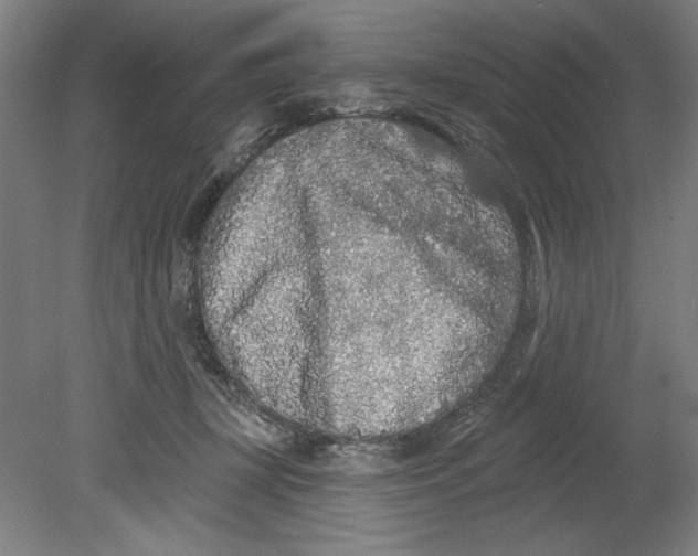 X0000080670367200701051014