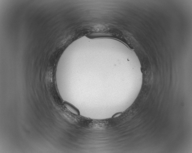 X0000080670368200701051014