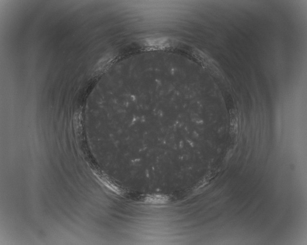 X0000080670369200701051014