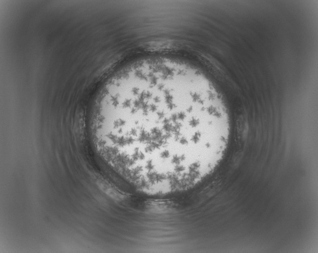 X0000080670372200701051014