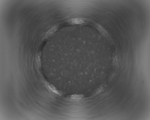 X0000080670373200701051014