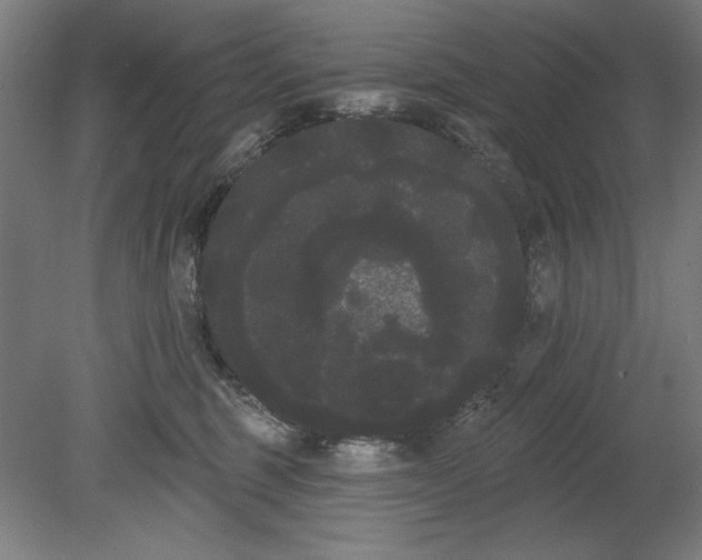 X0000080670375200701051014