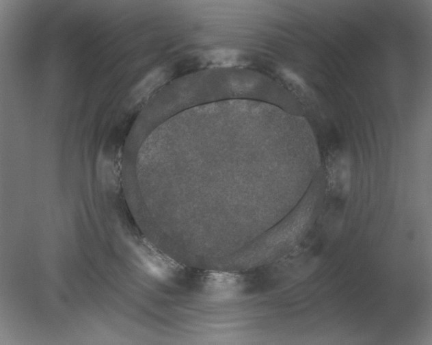 X0000080670376200701051014