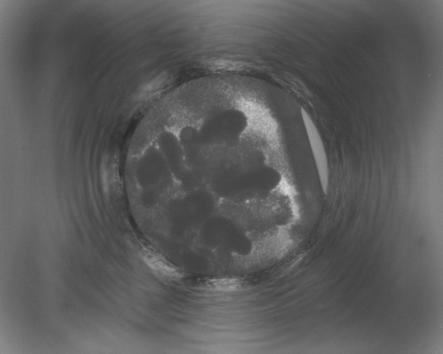 X0000080670377200701051014