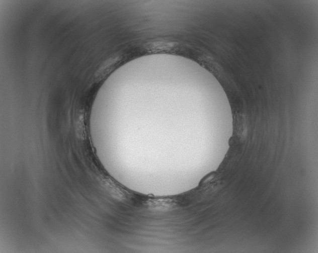 X0000080670378200701051014