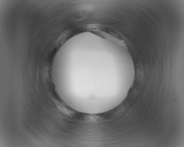 X0000080670379200701051014