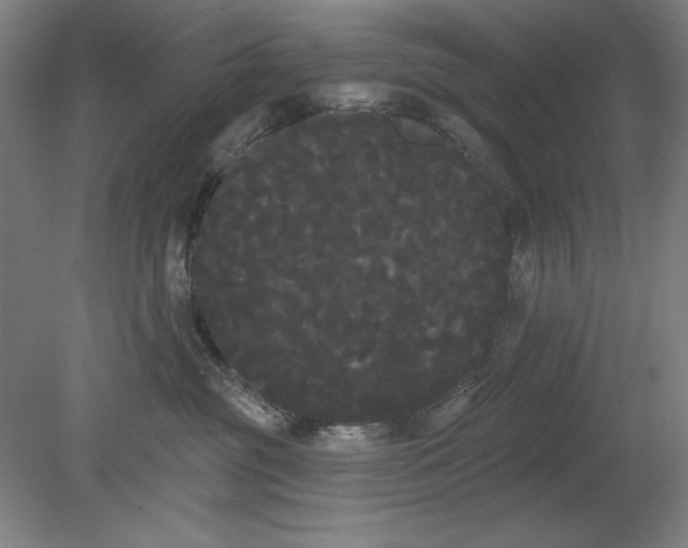 X0000080670381200701051015