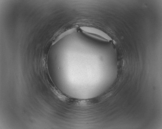 X0000080670382200701051015