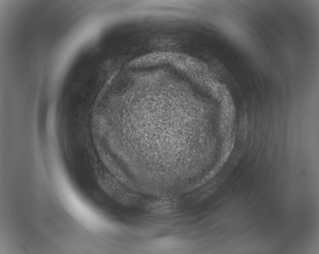 X0000080670383200701051015