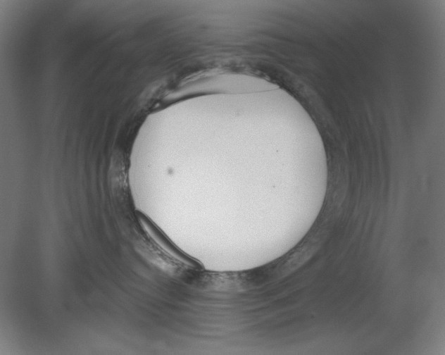 X0000080670384200701051015