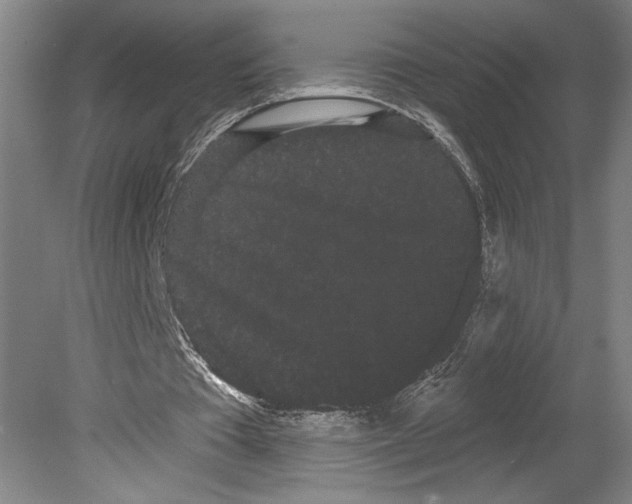 X0000080670385200701051014