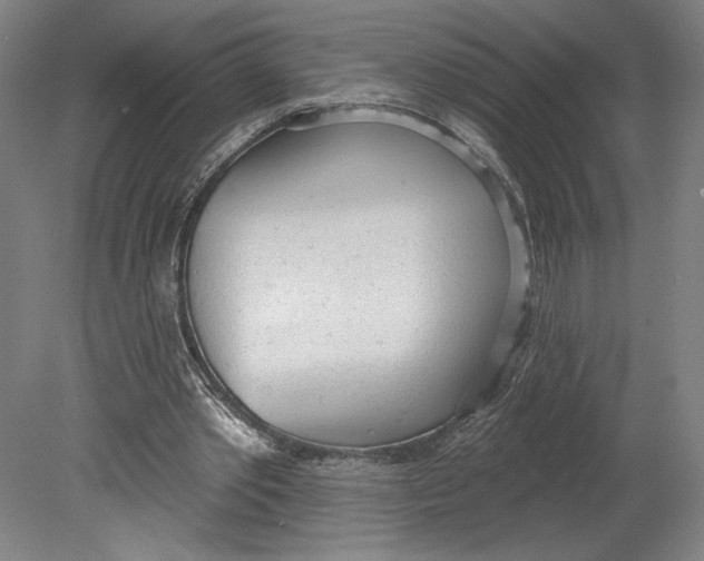 X0000080670389200701051014