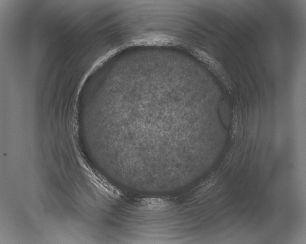 X0000080670392200701051014