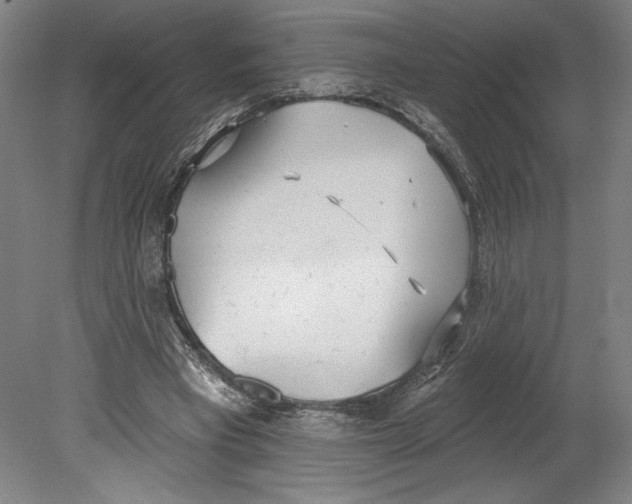 X0000080670393200701051014