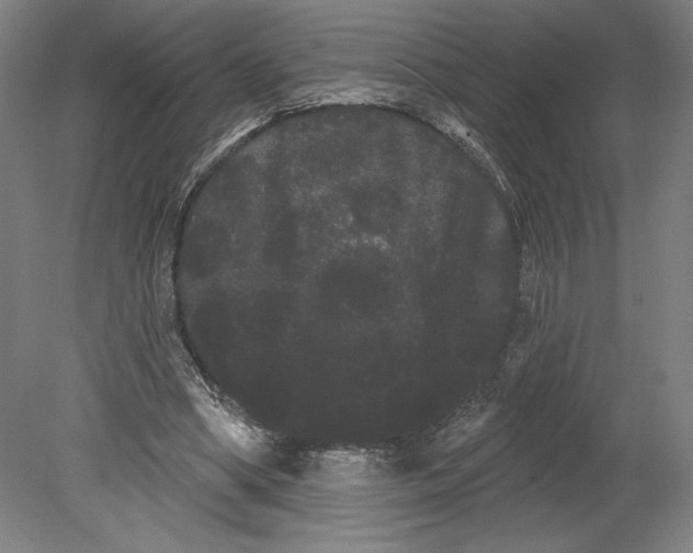 X0000080670394200701051014