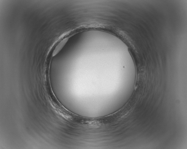 X0000080670395200701051014