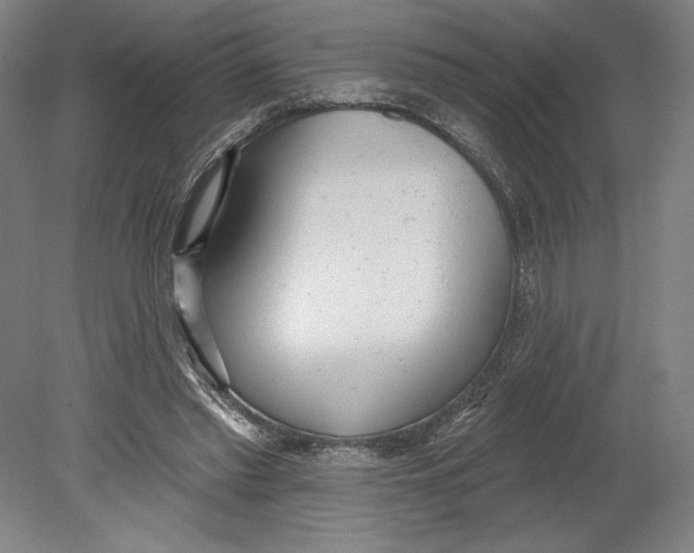 X0000080670397200701051014