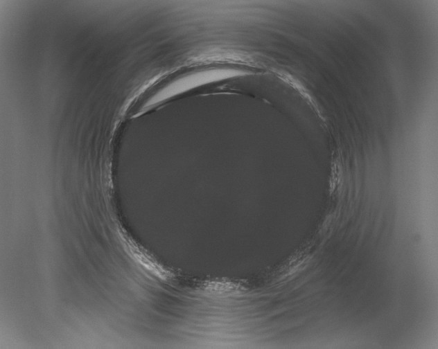 X0000080670399200701051014