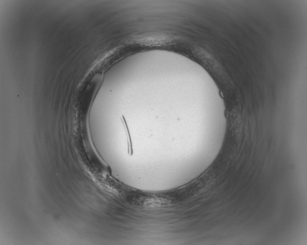 X0000080670400200701051014