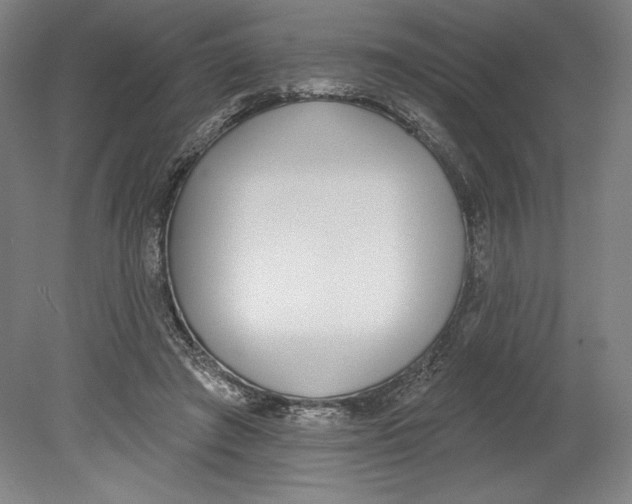 X0000080670401200701051013