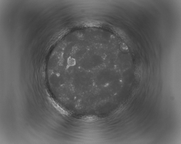 X0000080670402200701051013