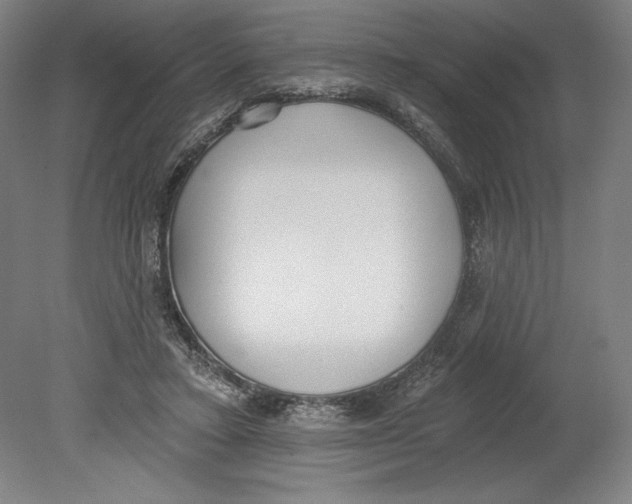 X0000080670403200701051013