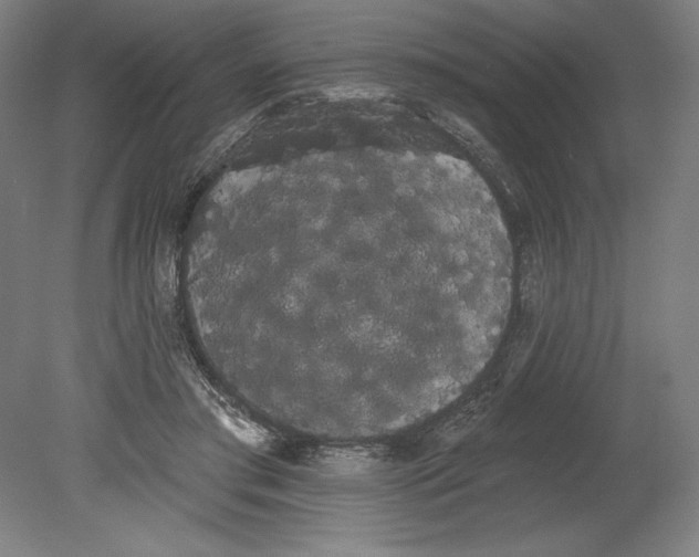 X0000080670405200701051013