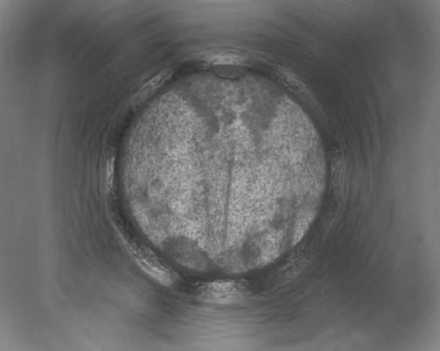 X0000080670406200701051013