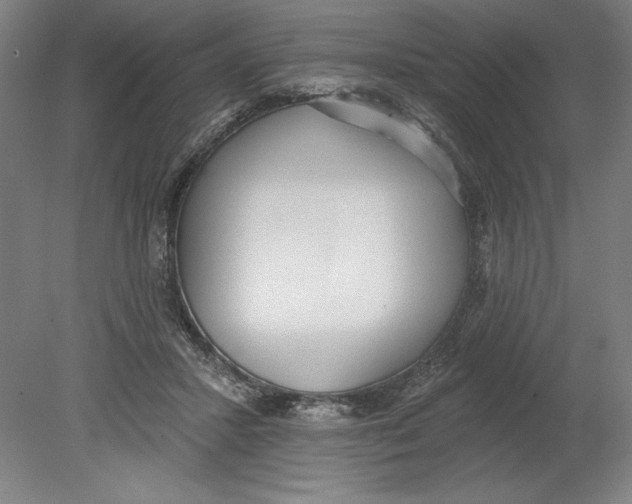 X0000080670407200701051013