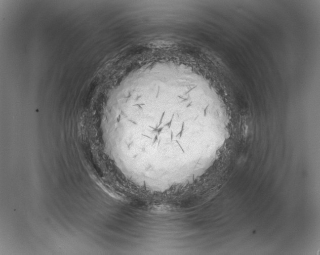 X0000080670408200701051013