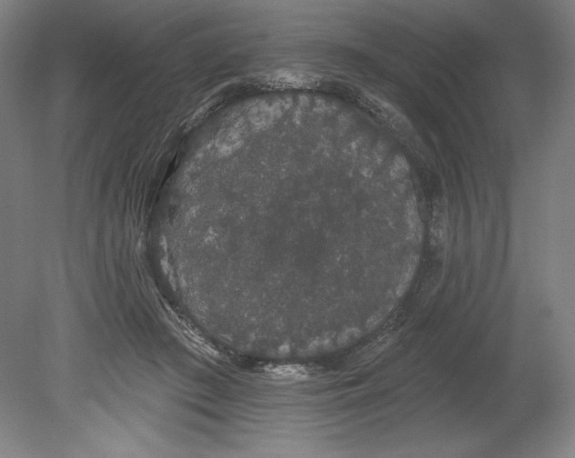 X0000080670409200701051013