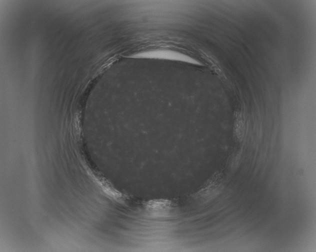 X0000080670410200701051013