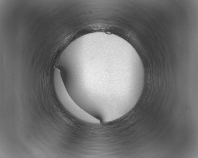 X0000080670411200701051013