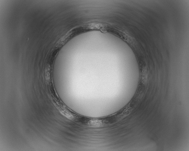 X0000080670413200701051013