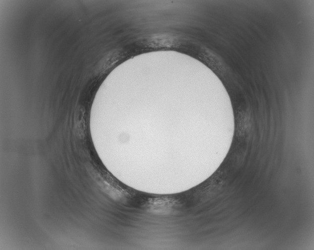 X0000080670414200701051013