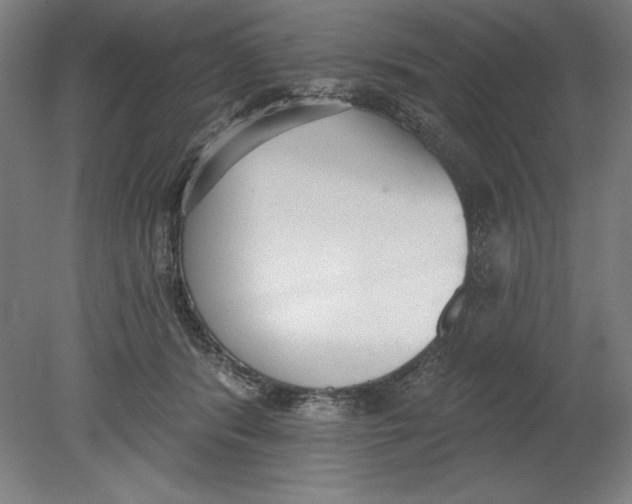 X0000080670416200701051013