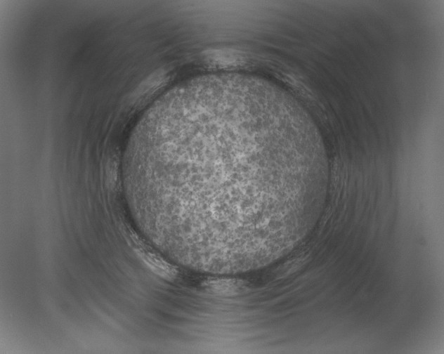 X0000080670417200701051013