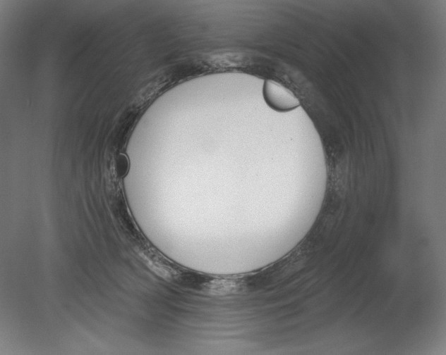 X0000080670418200701051013