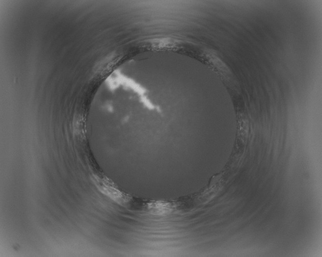 X0000080670419200701051013