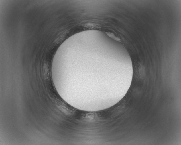 X0000080670420200701051013