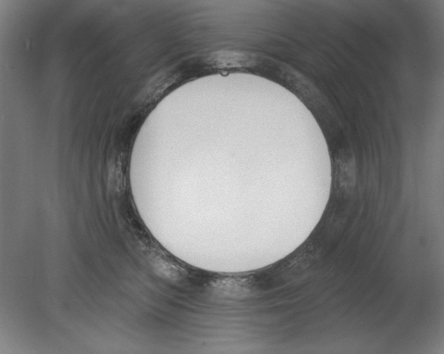 X0000080670422200701051013