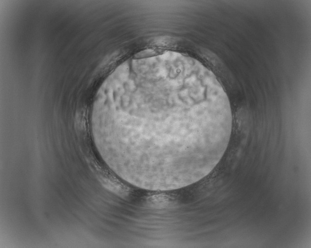 X0000080670423200701051013