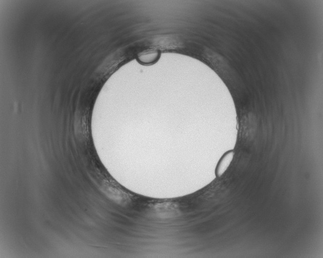 X0000080670426200701051013