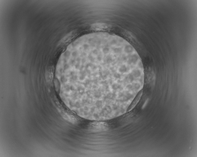 X0000080670427200701051013