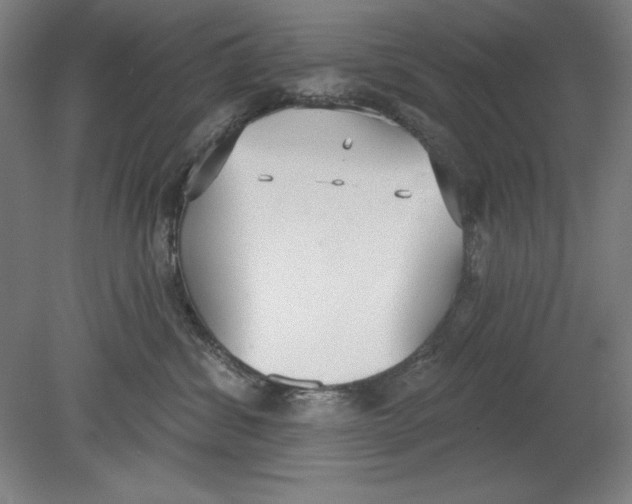 X0000080670428200701051013