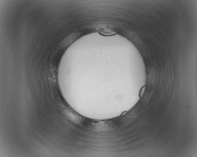 X0000080670430200701051013