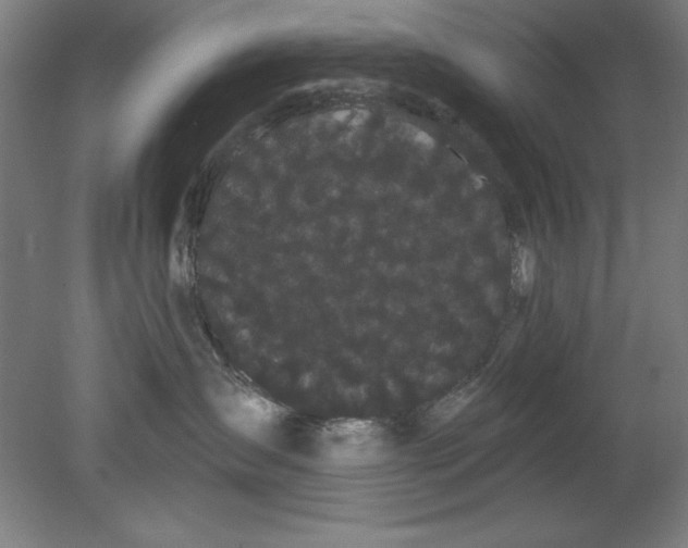 X0000080670431200701051013