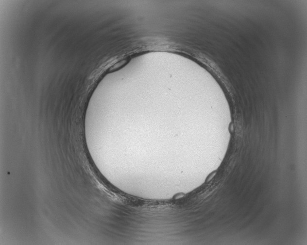 X0000080670433200701051012