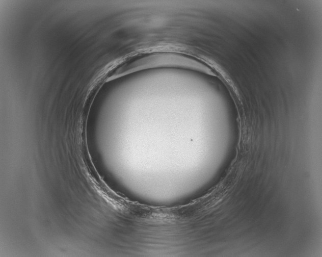 X0000080670437200701051012