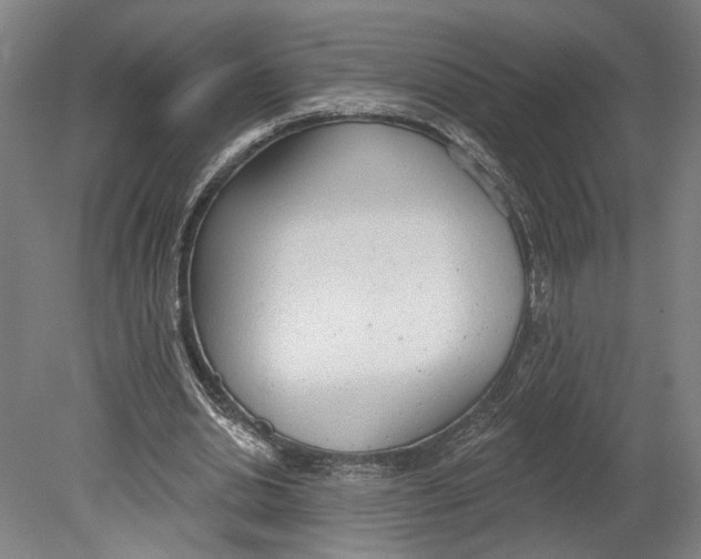 X0000080670438200701051012